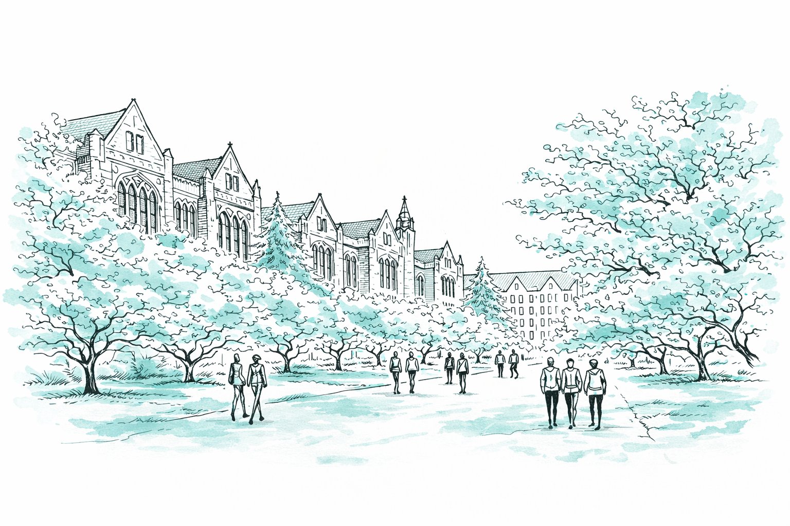 Pen and ink sketch of University of Washington quad with cherry blossoms